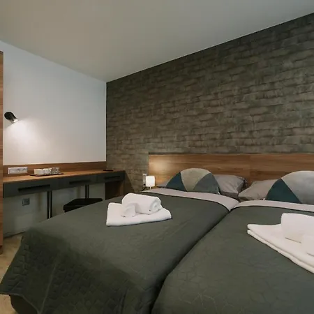 Lidovy Dum 3* 奥帕瓦